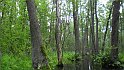 SAM_1538